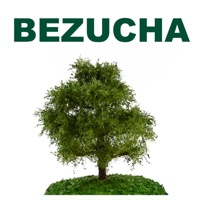 Bezucha Model