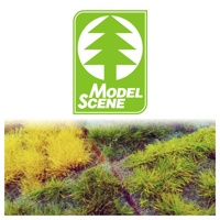 Model Scene
