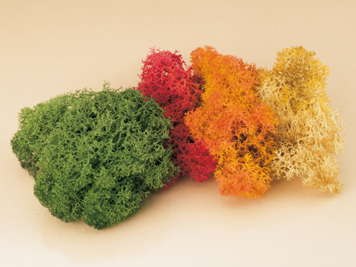 Icelandic moss coloured assorted Auhagen 75560