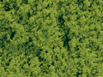 Foam flocking spring green fine Auhagen 76661