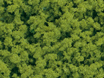 Foam flocking spring green medium Auhagen 76662