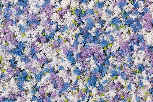 Foam flocking Cornflowers Auhagen 76936