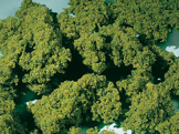 Moss foam spring green medium Auhagen 76975