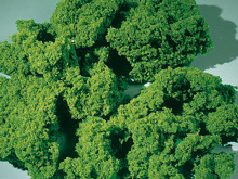 Moss foam light green medium Auhagen 76976