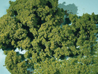 Moss foam spring green fine Auhagen 76979