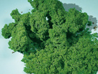 Moss foam light green fine Auhagen 76980