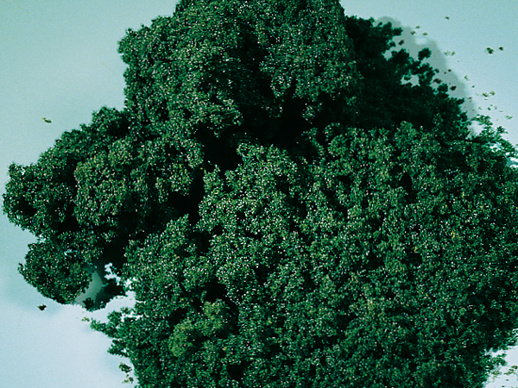 Moss foam dark green fine Auhagen 76982