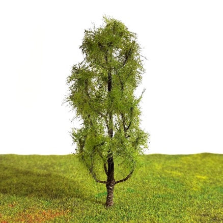 Jasan 12cm