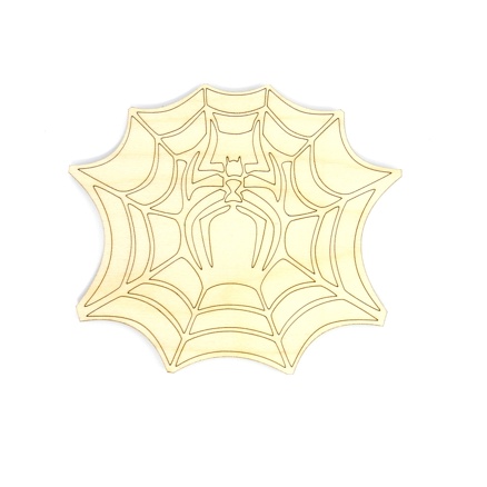 The spider web with spider 
