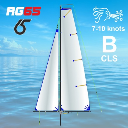 Tunning 3D Segelsatz  für RG 65 Grösse B Classic