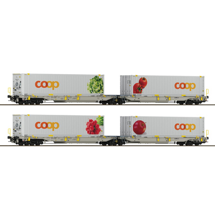 2-piece set 1: Articulated double-pocket wagon T2000, railCare 