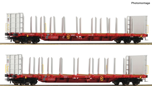 2er Set Rungenwagen RCW       